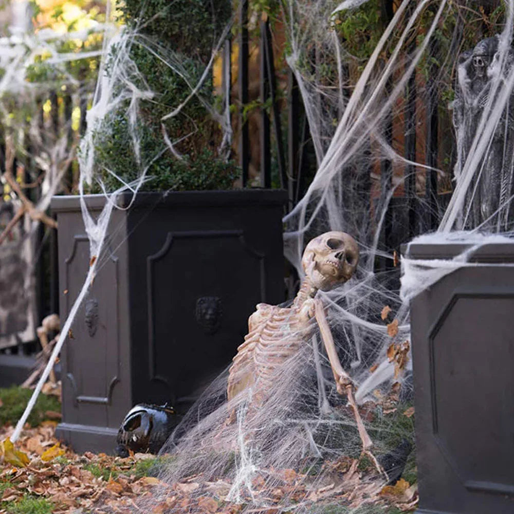 Stretch Cobweb with Spider