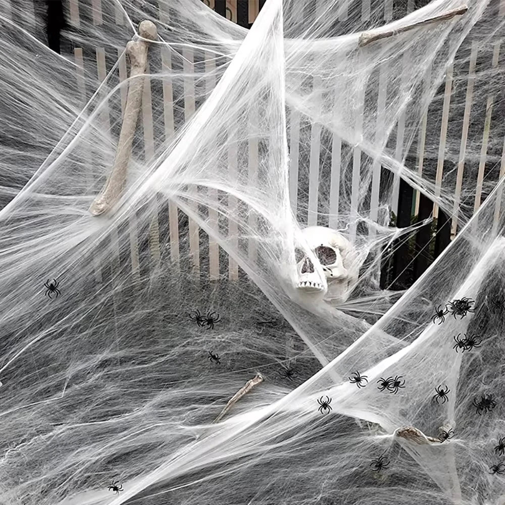 Stretch Cobweb with Spider