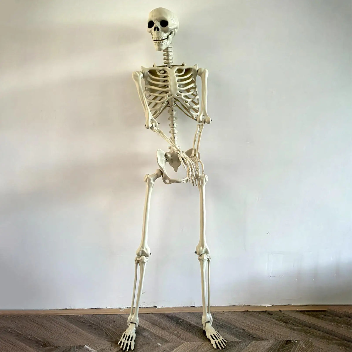 Poseable Skeleton Prop