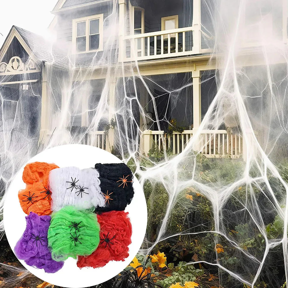 Stretch Cobweb with Spider