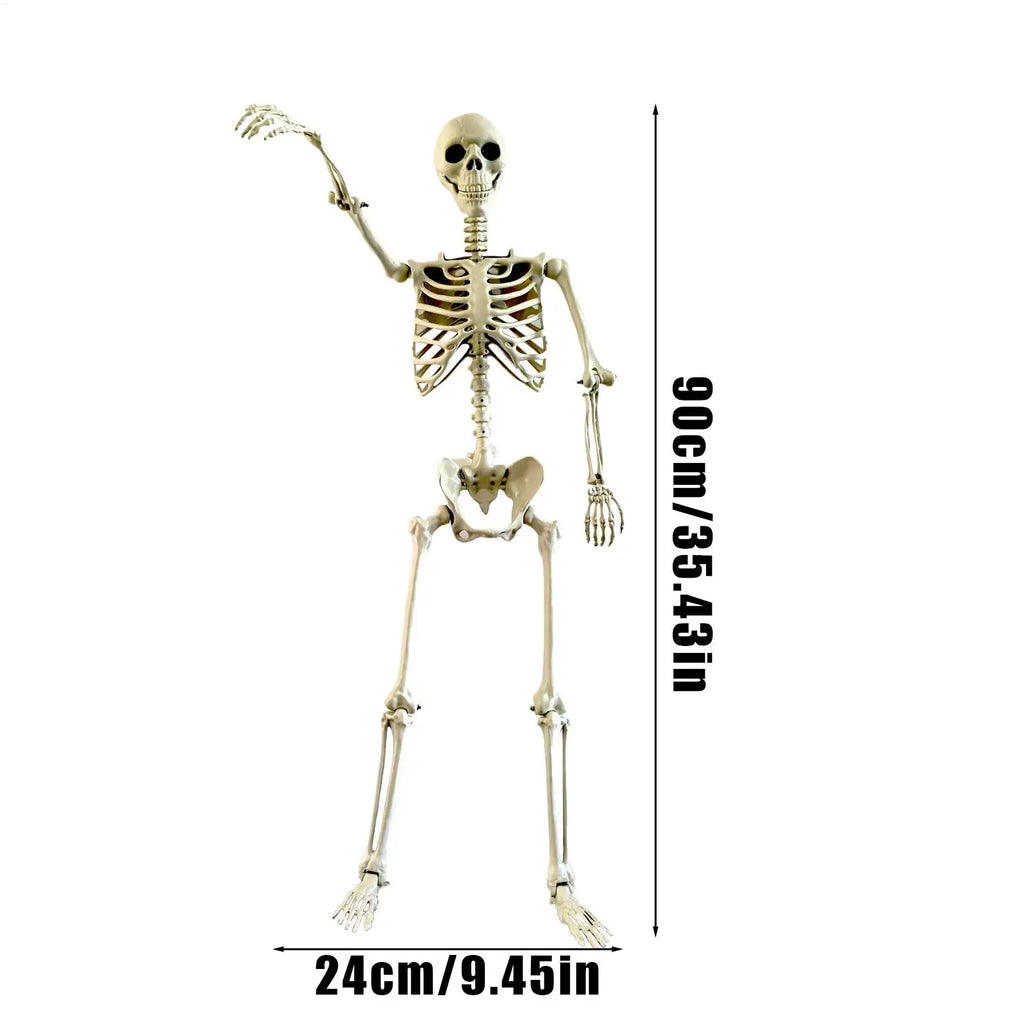 Poseable Skeleton Prop