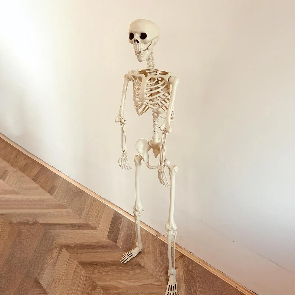 Poseable Skeleton Prop