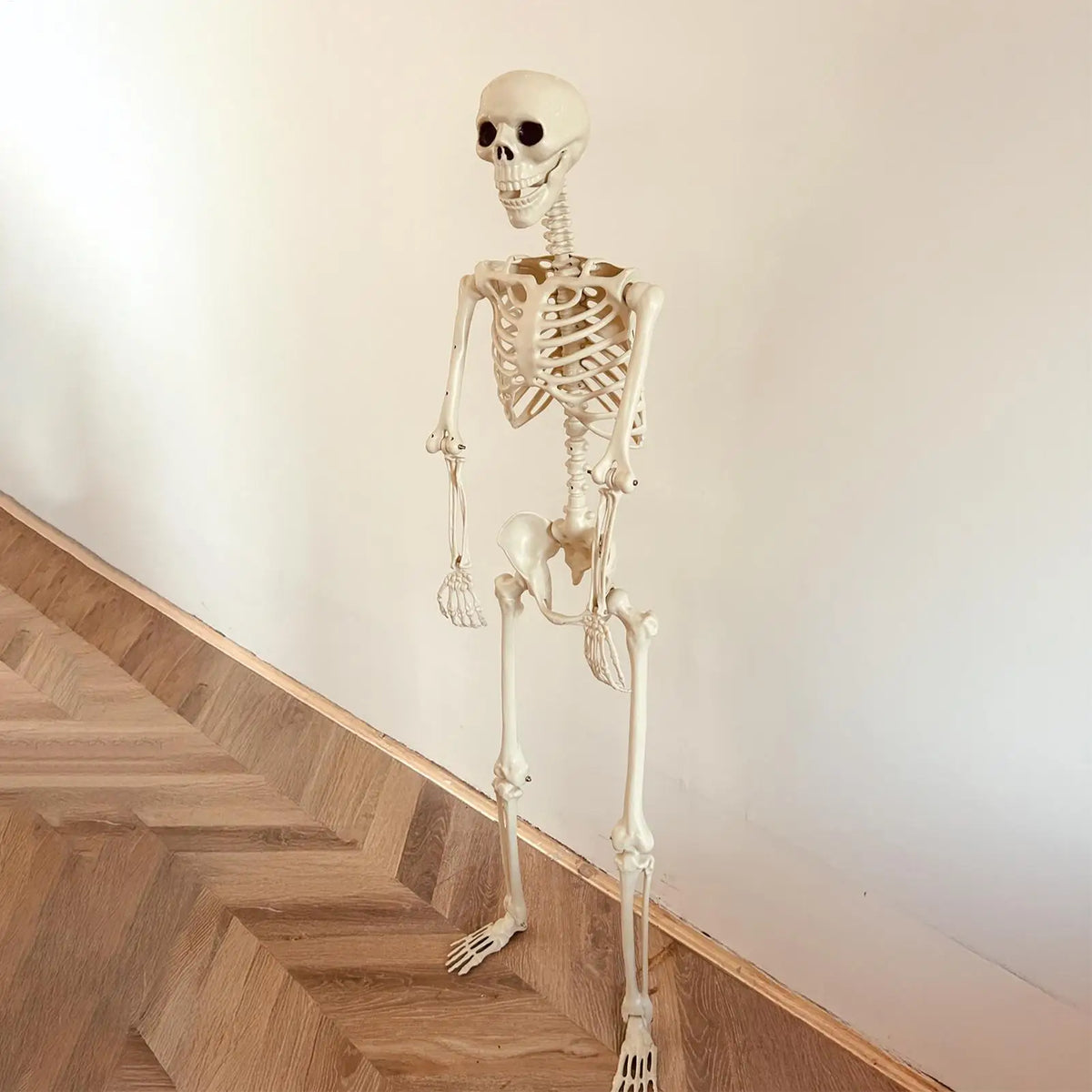 Poseable Skeleton Prop